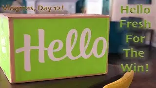498 | @whoissugar I Finally Tried Hello Fresh! | Vlogmas, Day 12!
