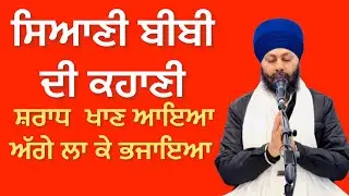ਸਿਆਣੀ ਬੀਬੀ ਦੀ ਕਹਾਣੀ # bhai gurmeet Singh Patti USA 