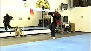 American Shaolin Wudan Jerry Cook Chain Whip #1