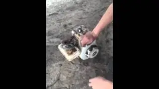 Briggs and Stratton 2hp off a K&S Trim all