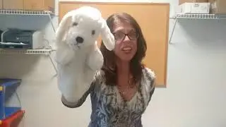 Instrument Jam #4 Music Therapy Session w Young Kids Remote Group Activities. Music Ed, Speech..