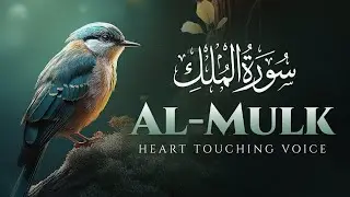 Surah Al-Mulk سورة الملك | Heart Soothing Quran for Sleep |  Peaceful Voice | Tilawat Zone