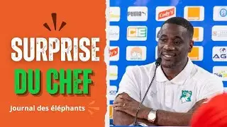 Yoan Bony et Inao en APPROCHE : La Côte d'Ivoire VA FRAMPONNER  la CAN 2025| journal des éléphants