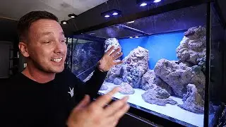 My NEW beginner Saltwater aquarium - The king of DIY