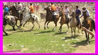 SORIA ( LA SACA ) MATINAL JUEVES 29 JUNIO 2023 ) GANAD.LA CARDENILLA