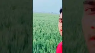 YouTube short video #tiktok #blogboy video #blockvideo #shortblock #tiktokvideo #short