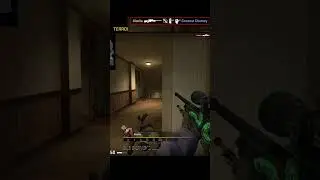 Epic Insane NoScope Sniper Shot! Unbelievable Accuracy