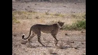 Süd Namibia 2024   Teil 4