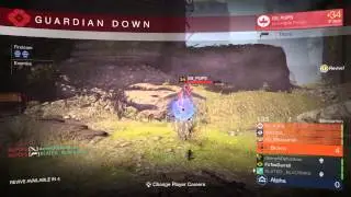 Report SS_PUPS