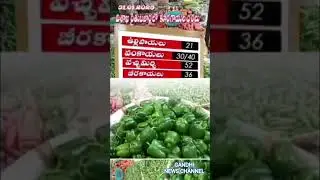 విశాఖ రైతు బజార్లలో కూరగాయల ధరలు|Vegetable prices in Visakhapatnam Rythu Bazars..