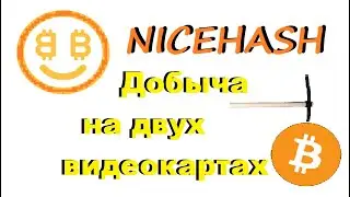 ДОБЫЧА НА NICEHASH С ДВУХ GTX 1070!
