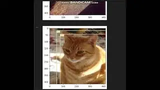 object detection system using VOLO V3