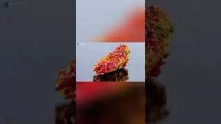 Vanadium&rsquo;s Power in Steel