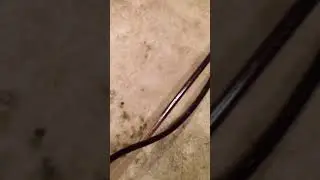 Filtering beer with a pump ( part 3 )