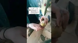🥔Посадил деньги, и они приумножаются💸