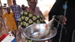 Near East Foundation Success Stories: Fatoumata Traor&eacute;