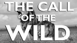 The Call of the Wild by Robert W. Service | Motivational Poem from BEST Motivation
