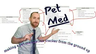 PetMed #10 | Postman Collection & API Test Setup
