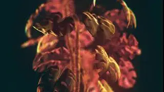 Monsterra VJ Clip