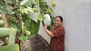 NGEWANGI MAK DAMIS KANGGO ACARA ULTAH E RAFA