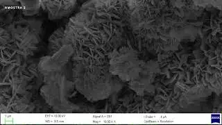 Microscopia eletrônica de varredura   MEV - Análise de amostras de Zeólitas