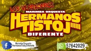 Hermanos Tistoj Diferente - Gaitas Tistoj No.21