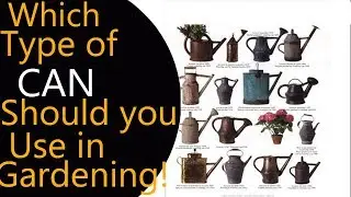Which Type of Watering CAN should you use in Gardening|||by Joseph@FarmingCosmos!
