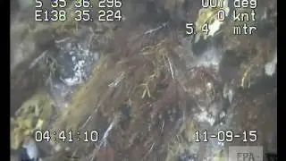 EPA Marine Aquatic Ecosystem Condition Report, SE, West Island m0506, Encounter