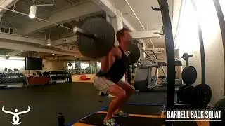 FitBot Barbell Back Squat