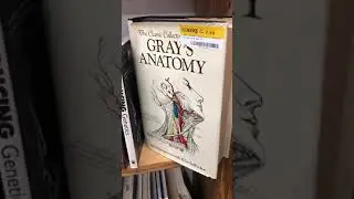 Gray&rsquo;s Anatomy | The Book that Doesn&rsquo;t Die! #shorts
