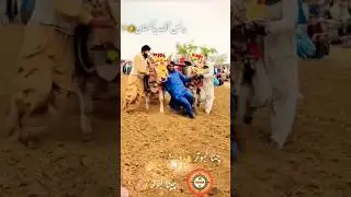 Karah News 2025 #jalsakarah #karhanews #youtubeshorts #gujarkhan #pothwar