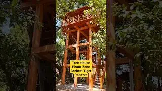 Tree House Phato Zone | Phato Zone | Night Stay in dense Forest | #jimcorbett #corbett #phatozone