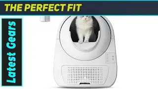 CATLINK Litter Box: The Ultimate Odor-Free Solution