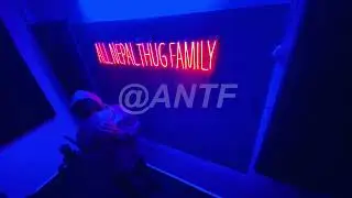 ANTF Season 2 - Beat - 15