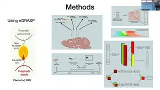 Sabahaddin Taha Solakoglu - Synaptic inputs onto mPFC dendrites in mouse models of stress
