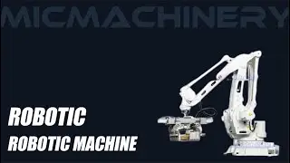 Best Automatic Palletizer Machine of 2025 Chinese Manufacture.Machine