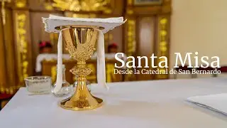 Santa Misa | Miércoles 04 de febrero