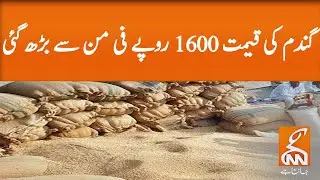 wheat prices increase| GNN | 08 May 2020