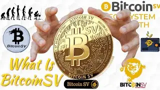 Satoshi Vision | What is BitcoinSV (BSV)
