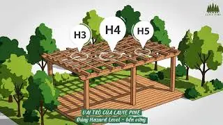 Gỗ & Net Zero