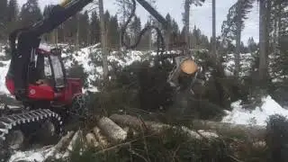 ❄❄Komatsu 941.1 & C144❄❄