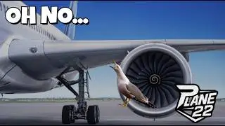 What Would Happen If a Bird Got Into an Airplane Engine?