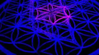 Frequency Sister by The Shadow Kabinet