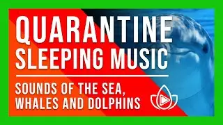🎁 MUSICA PARA DORMIR EN CUARENTENA ✅⭐ Con Sonidos de Mar Ballenas Y Delfines