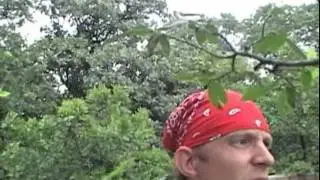 Wild Kingdom - African Queen