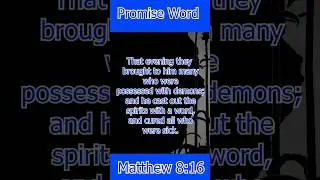 Promise word of the day  | Matthew 8:16 | 7 February 2023 | Fr. Jose Vettiyankal VC