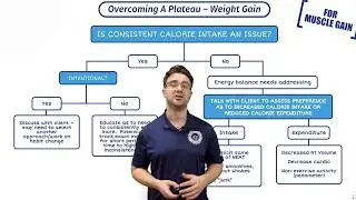 Muscle Gain | Breaking Plateaus | Overcoming Weight Gain Plateau