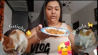 CUIDADORA DE PET 🐱  + Gatinha BRENDA 