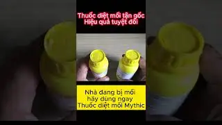 Thuốc Diệt Mối Tận Gốc Mythic 240SC #shorts