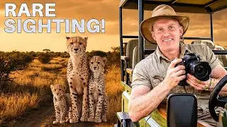 3 Cheetahs Spotted! 🐆🔥 Most Insane Sighting Ever